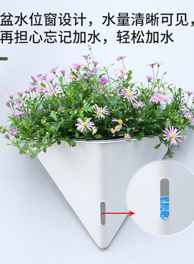 壁挂式塑料花盆创意室内外高档端挂墙壁绿植自吸水精致阳台小花盆
