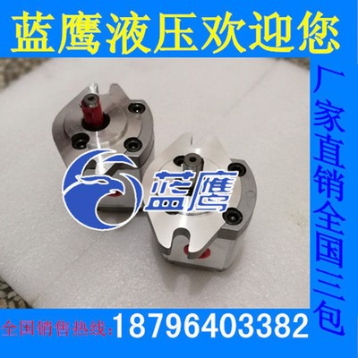 P101/P102/P104/P105/P106/P107/P108/P109 RP01GT齿轮泵 12.7轴
