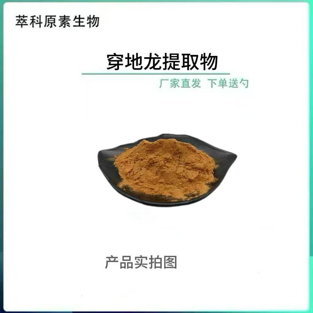 现货批发穿地龙提取物45%薯蓣皂甙现货包邮穿地龙粉资质齐全