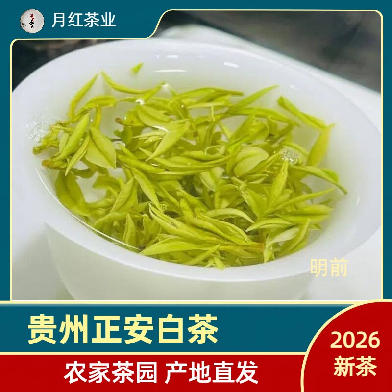 贵州正安白茶 2026新茶白茶清香 明前贵州高山茶叶白茶正安特产