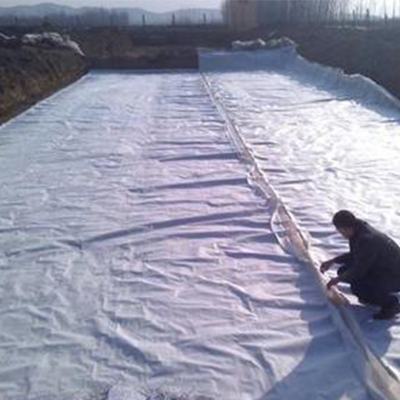 土工膜一布两布一膜鱼塘河道防水养殖膜加厚防渗布复合土工布