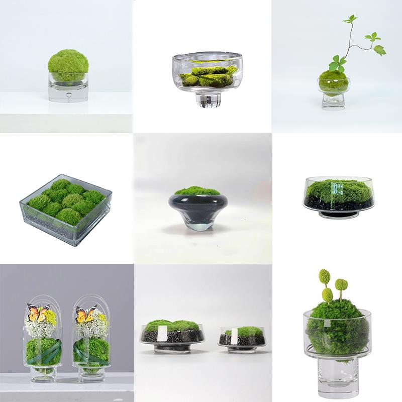 新疆包邮玻璃永生苔藓绿植盆景装饰摆件办公工作室家居样板间酒店