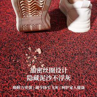 家用入户防滑脚垫进门地毯PVC钉底加厚丝圈商用超市汽车门口地垫