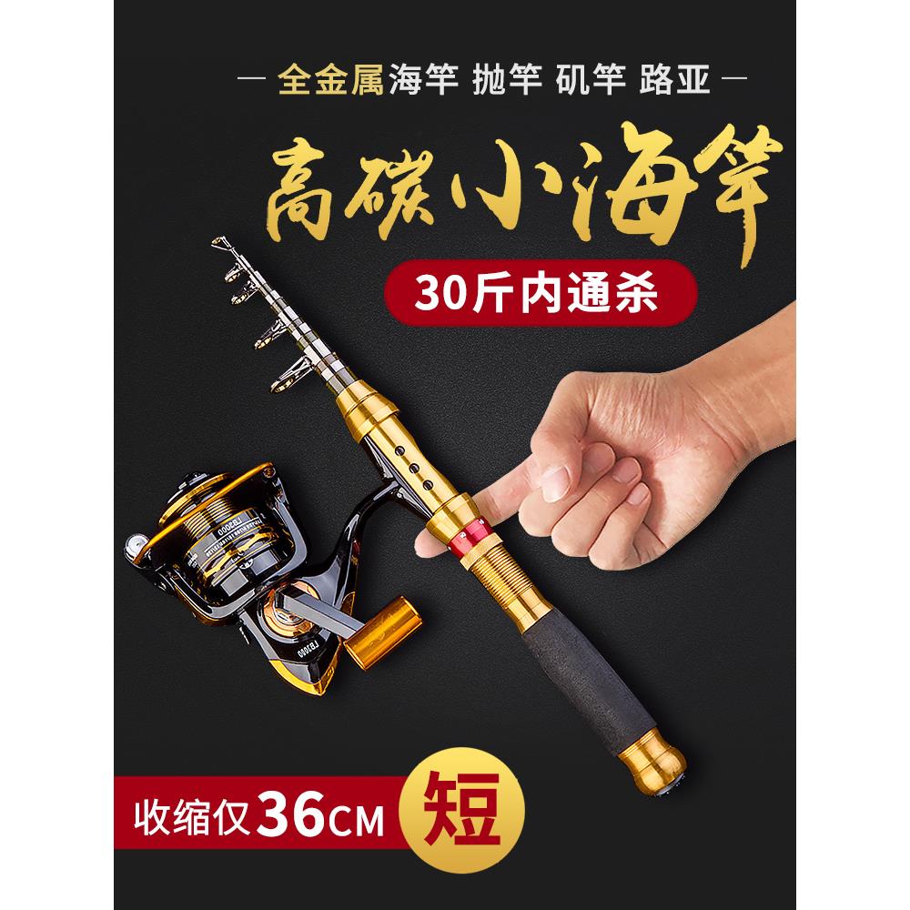 小海竿套装迷你短节鱼竿海杆路亚软尾小矶竿钢笔裸竿甩杆远投抛竿