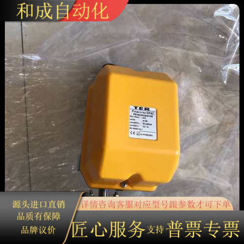 全新TER偏航计数器GF4C  PF090302000108