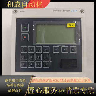 0积算仪 3E51 EndressHauser RA33