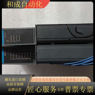 PIC900 LEWIS PLC模块出 GIDDINGS