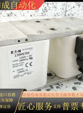 170M6789 FUSE 1100A 1250VAC 10