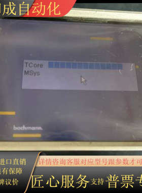 WT205巴赫曼触摸屏 液晶老化 显示暗