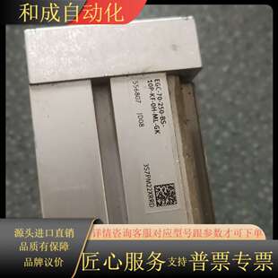 EGC 10P 250 无杆缸