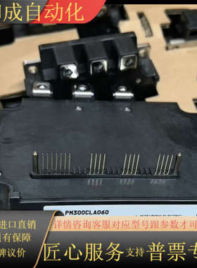 PM300CLA060全新