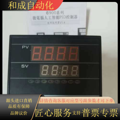 泛达PAN-GLOBE E900系列温控仪，型号E9-101