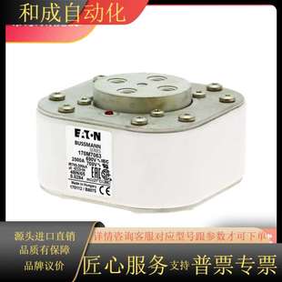 3000A 170M7064 2500A 170M7063