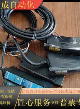 BANNER 邦纳 D10DPFP D11EN6FP 光纤放