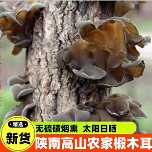 旗舰秦岭黑木耳陕南安康干货小碗耳椴木耳汉中无根小木耳500g