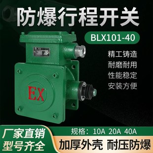 501 电动葫芦防爆限位器隔离隔爆行程断火起升限位开关BLX101 10A