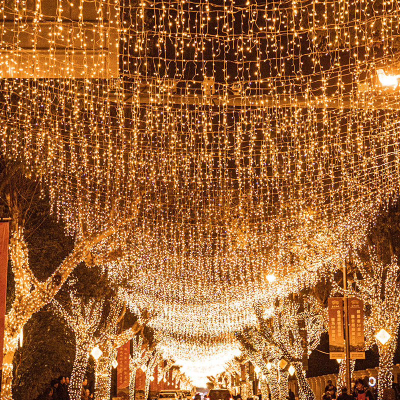 新年户外装饰气氛灯带七彩网红瀑布灯LED过年彩灯闪灯灯串满天星,节庆用品/礼品,装饰灯,淘宝优惠券,粉丝福利购,淘宝优惠卷
