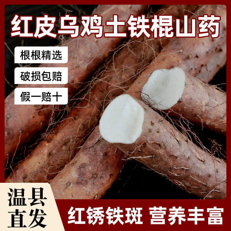温县铁棍红皮山药乌鸡土怀山药5斤正宗新鲜铁杆特产山约河南焦作