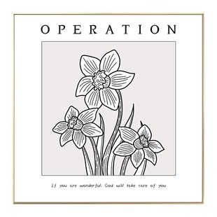 客厅装饰画卧室牀头挂画饭厅壁画抽象极简约风格黑白墙画线条艺术