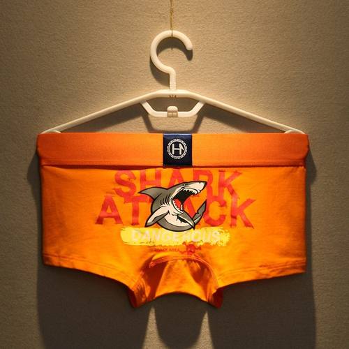 男士内裤男纯棉平角裤时