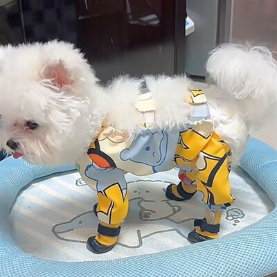 狗狗外出防脏防尿背带裤套中型小型犬泰迪连体裤脚套宠物防脏鞋套