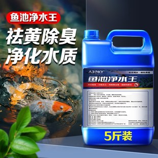鱼缸净水剂水立清澄清混浊水质清澈剂消毒杀菌清洁净化剂鱼池专用