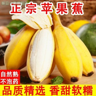 苹果蕉香蕉新鲜9斤自然熟当季整箱水果小米芭蕉粉香焦甜10大