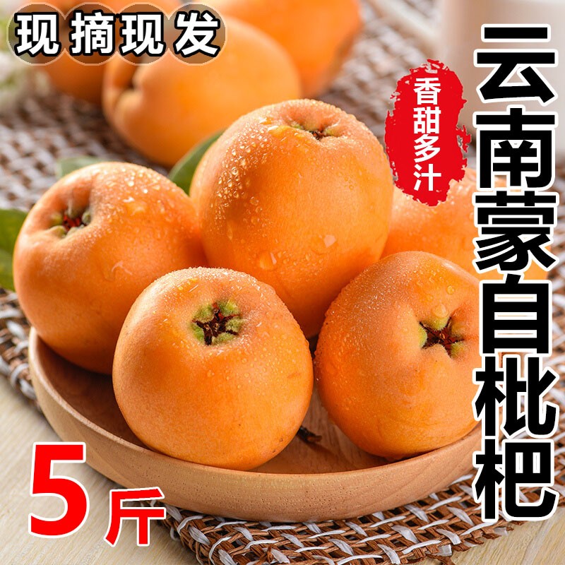 云南蒙自甜枇杷鲜果长虹琵琶新鲜当季孕妇水果5斤装大果整箱包邮