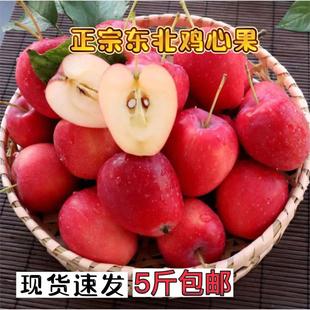 顺丰东北特产鸡心果新鲜小苹果5斤应季水果大秋果沙果海棠龙丰果