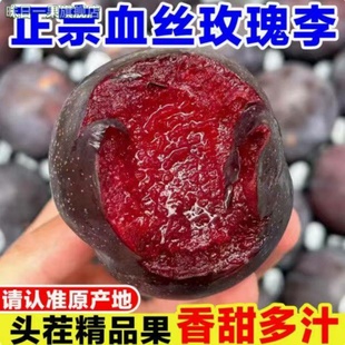河南应季风味玫瑰血丝李红心李子时令水果黑布林红肉恐龙蛋味帝李