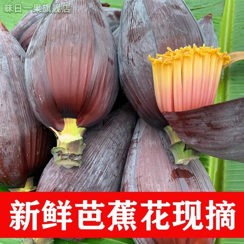 乡村芭蕉花5斤包邮香蕉花新鲜采集大蕉花千然录色食材蕉蕾不打药