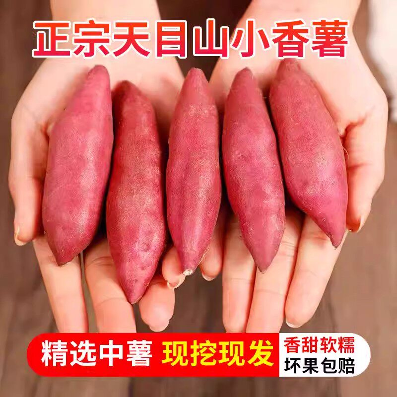 正宗临安天目山小香薯拇指小红薯新鲜地瓜板栗山芋番薯5迷你直发