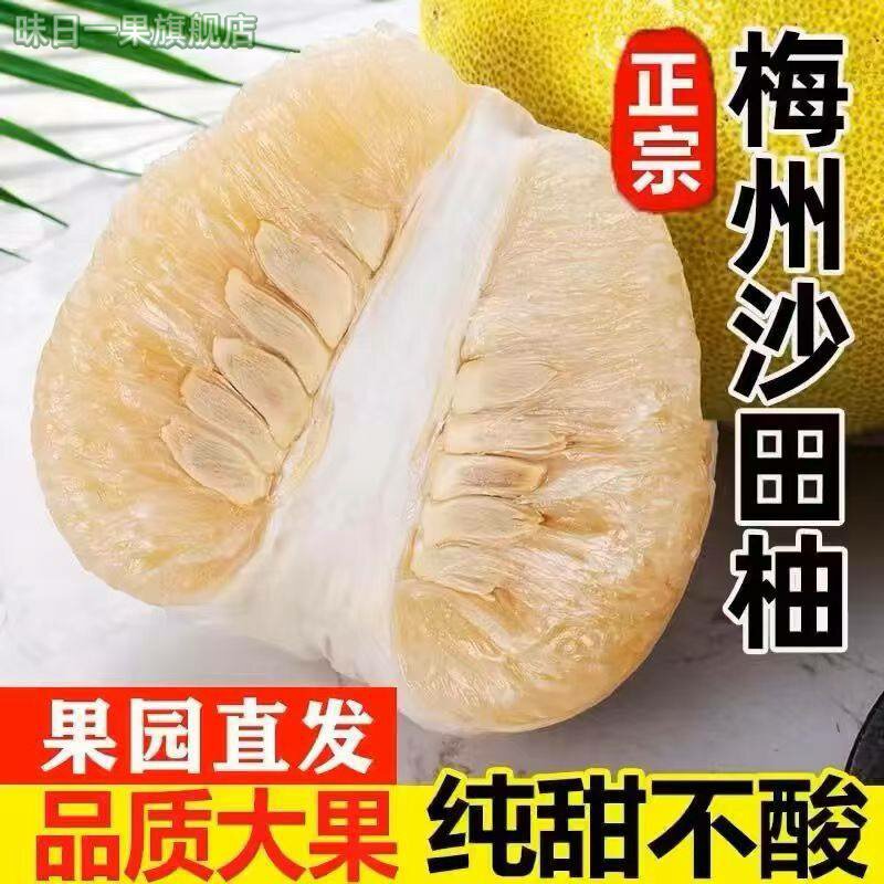 正宗梅州沙田柚广东白心柚子梅县金柚大甜柚子薄皮新鲜水果非容县