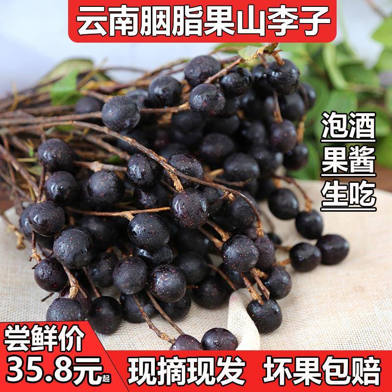 云南胭脂果新鲜鬼眼睛果山李子山楂粗梗稠李山里红腌制泡酒水果