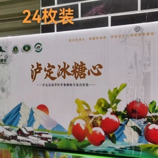 现摘现发泸定冰糖心红苹果川西高原甘州黄草坪康定达杠新鲜水果