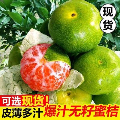 正宗青皮蜜桔10斤当季新鲜水果青皮酸蜜橘柑橘酸甜桔孕妇大果包邮