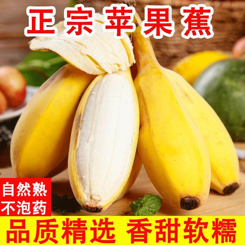 苹果蕉香蕉新鲜9斤自然熟当季整箱水果小米芭蕉粉香焦甜10大