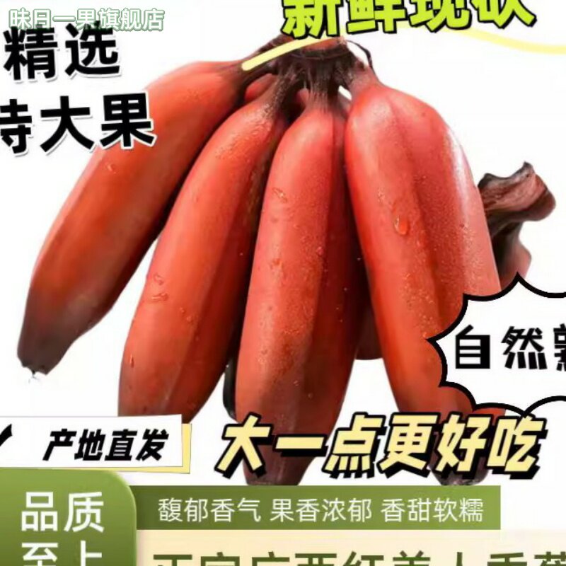 红美人香蕉红蕉banana新鲜时令孕妇水果现砍新鲜自然熟9斤