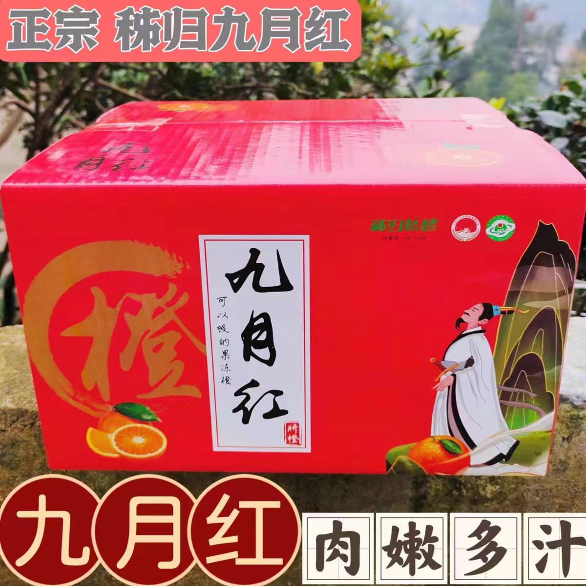 现摘现发湖北爆汁果冻橙九月红橙子新鲜秋橙手剥脐橙果肉细嫩化渣图片