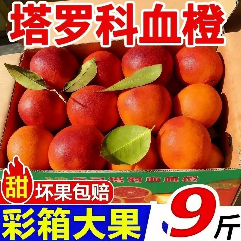 四川自贡塔罗科血橙新鲜水果应季果冻橙整箱现摘现发自家果园