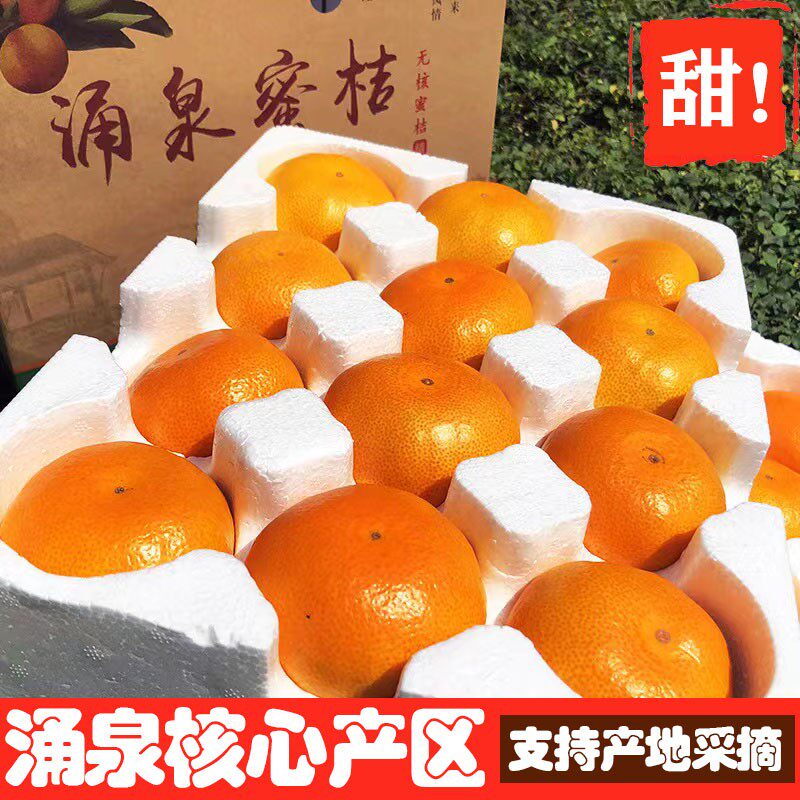 浙江台州临海涌泉蜜桔橘子10斤装新鲜现摘甜无核当季高山宫川礼盒
