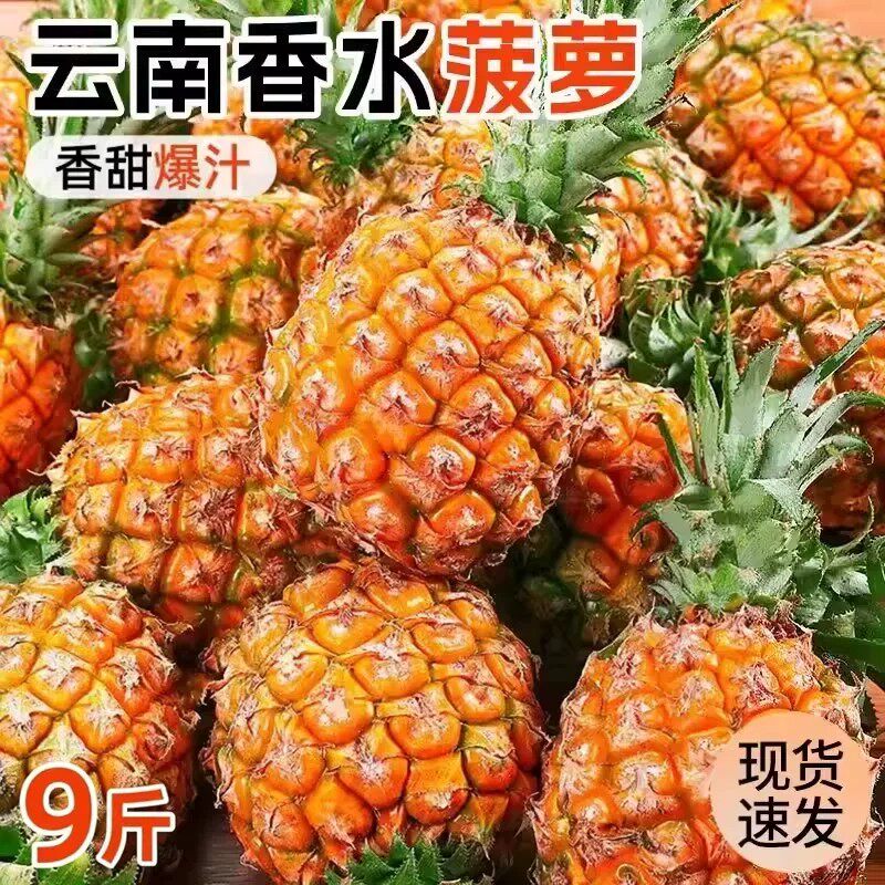云南香水小菠萝新鲜水果9斤应当季手撕凤梨金钻波罗粉色整箱包邮