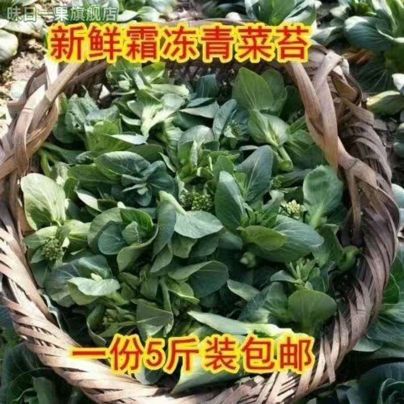 新鲜蔬菜当季时令青菜苔霜冻苏州青菜苔油菜薹现摘农家青菜心,水产肉类/新鲜蔬果/熟食,莼菜,淘宝优惠券,粉丝福利购,淘宝优惠卷