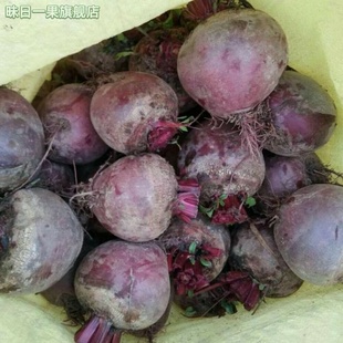 2025新鲜甜菜根现挖发货甜菜头精选有1机肥红菜头纯红多汁五斤