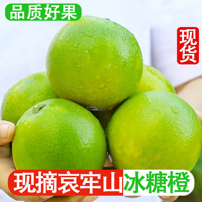 正宗云南冰糖橙新鲜青皮手剥橙玉溪哀牢山冰糖橙水果应季整箱9斤