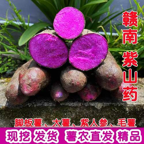赣南紫山药5斤现挖脚板薯毛暑大薯紫玉淮山新鲜铁棍山药农家蔬菜