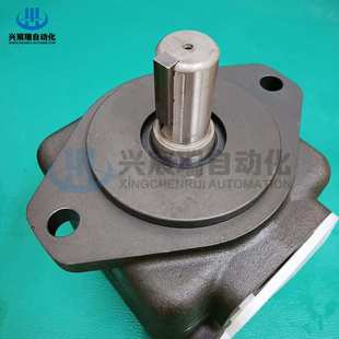 E80 E63 E100 E125 E200 E160 E系列叶片泵YB