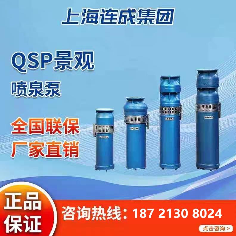 上海连成喷泉泵QSP喷泉泵景观园林喷泉专用泵铸铁不锈钢材质