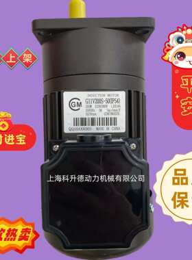 G11V200S-50(IP54)  CGM电机  CGM马达  G11V200S-75 G11V200S-90