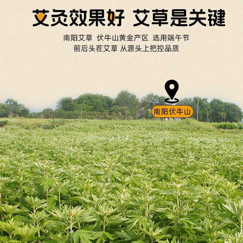 艾绒养生被家用全身艾灸褥子艾草被子秋冬保暖加厚双层纱艾绒冬被